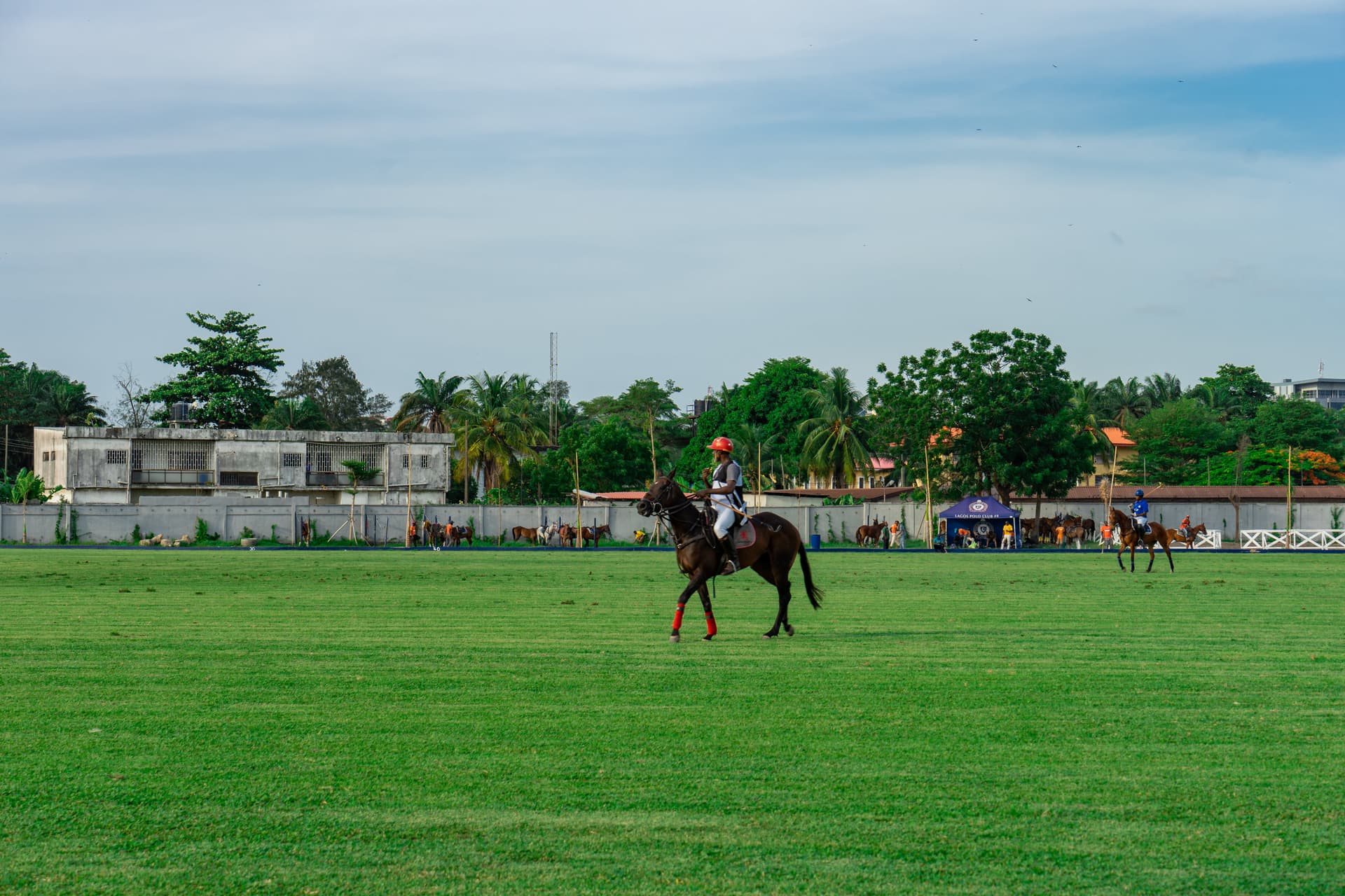 Horse hero